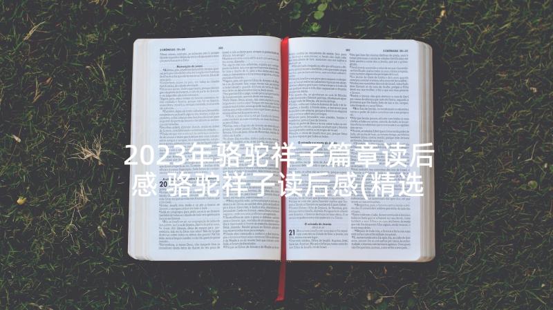 2023年骆驼祥子篇章读后感 骆驼祥子读后感(精选10篇)