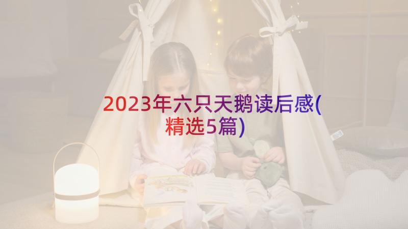 2023年六只天鹅读后感(精选5篇)