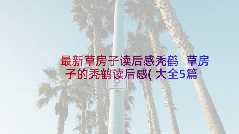 最新草房子读后感秃鹤 草房子的秃鹤读后感(大全5篇)