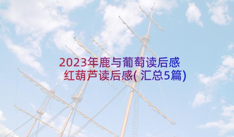 2023年鹿与葡萄读后感 红葫芦读后感(汇总5篇)