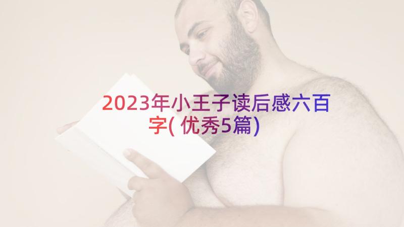 2023年小王子读后感六百字(优秀5篇)