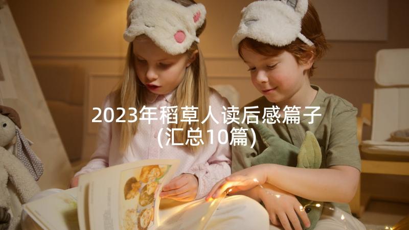 2023年稻草人读后感篇子(汇总10篇)