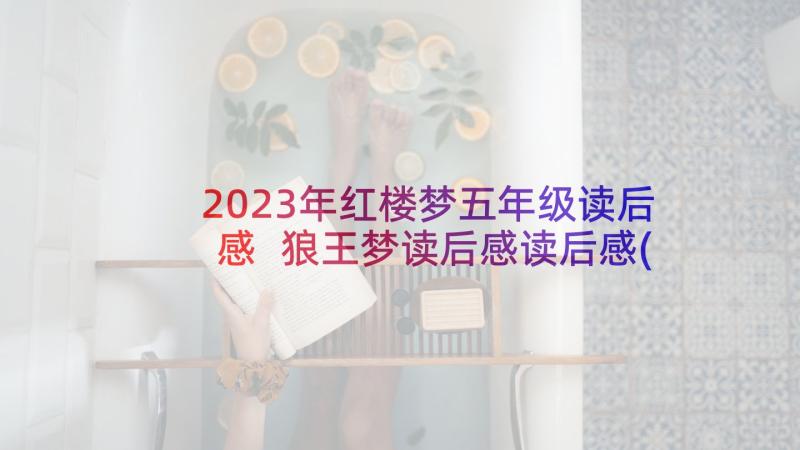 2023年红楼梦五年级读后感 狼王梦读后感读后感(模板10篇)