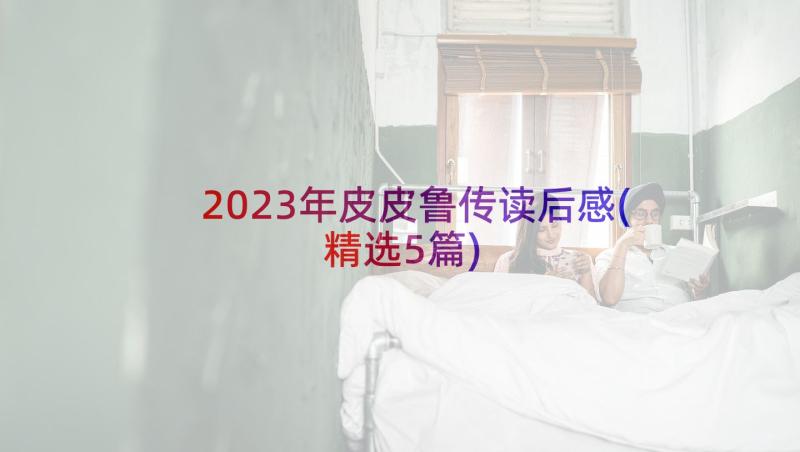 2023年皮皮鲁传读后感(精选5篇)