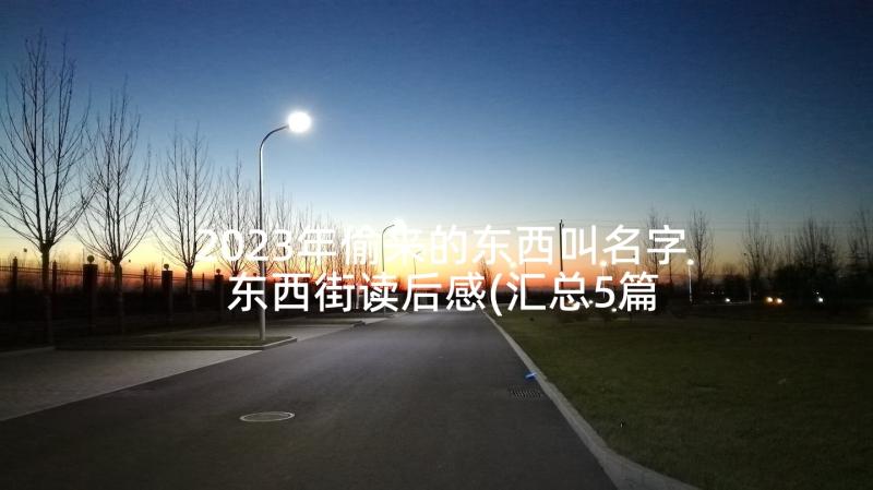 2023年偷来的东西叫名字 东西街读后感(汇总5篇)