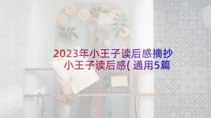 2023年小王子读后感摘抄 小王子读后感(通用5篇)