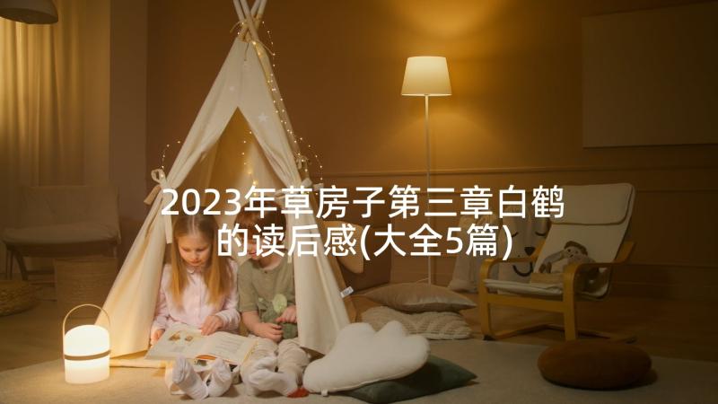 2023年草房子第三章白鹤的读后感(大全5篇)