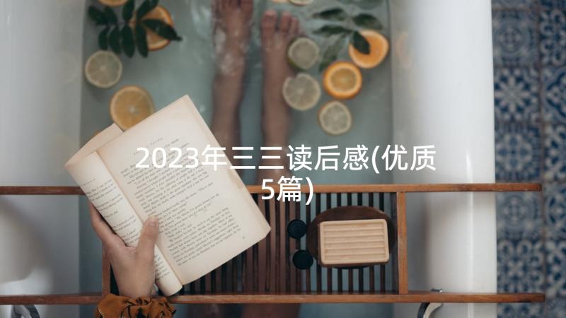 2023年三三读后感(优质5篇)