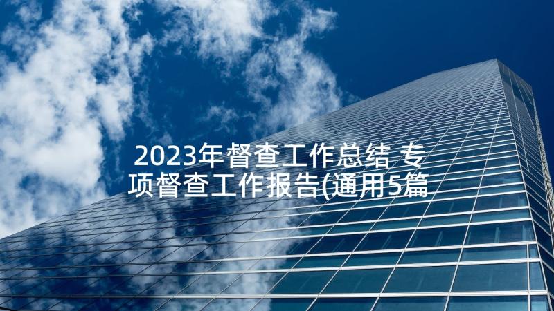 2023年督查工作总结 专项督查工作报告(通用5篇)