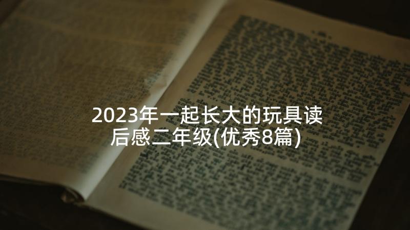 2023年一起长大的玩具读后感二年级(优秀8篇)