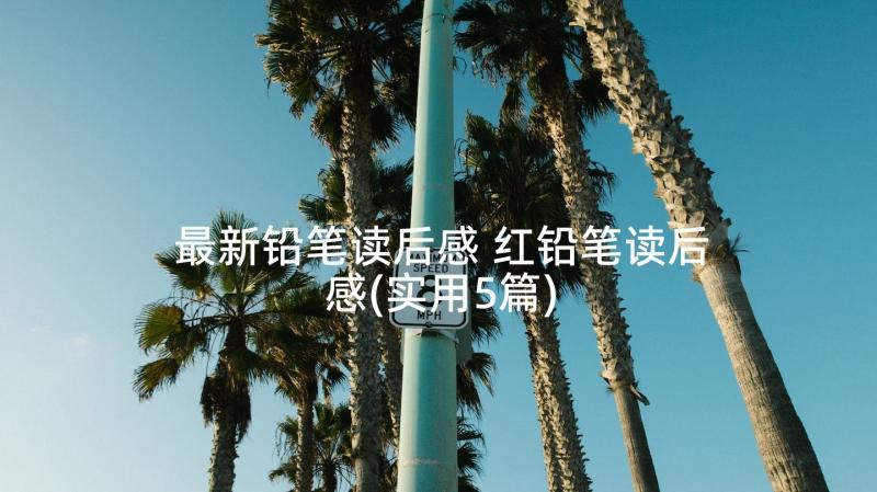 最新铅笔读后感 红铅笔读后感(实用5篇)