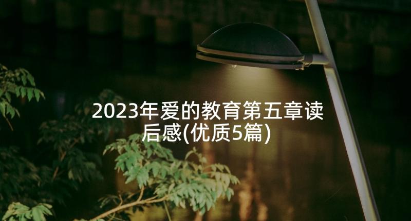 2023年爱的教育第五章读后感(优质5篇)