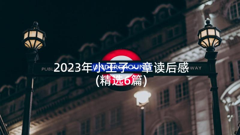 2023年小王子～章读后感(精选6篇)