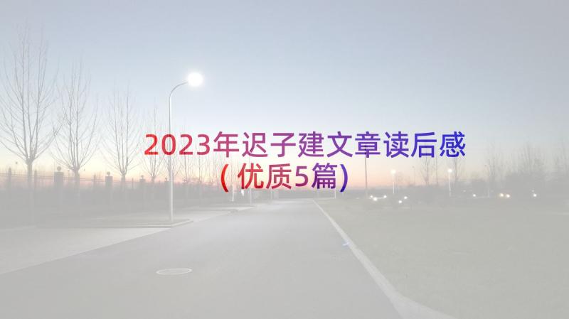 2023年迟子建文章读后感(优质5篇)