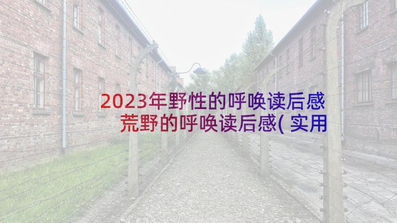 2023年野性的呼唤读后感 荒野的呼唤读后感(实用9篇)