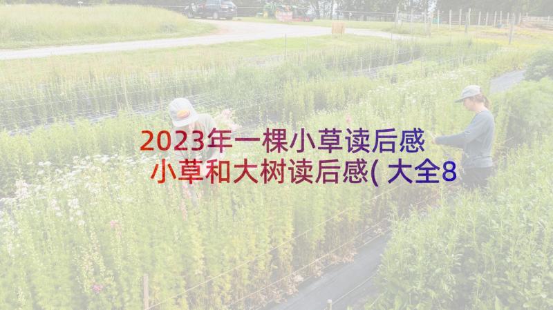 2023年一棵小草读后感 小草和大树读后感(大全8篇)