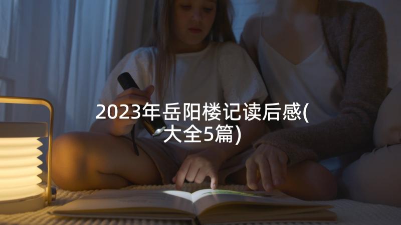 2023年岳阳楼记读后感(大全5篇)