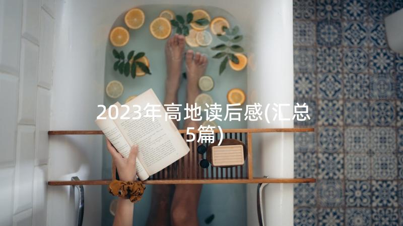 2023年高地读后感(汇总5篇)