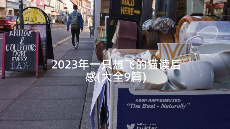 2023年一只想飞的猫读后感(大全9篇)