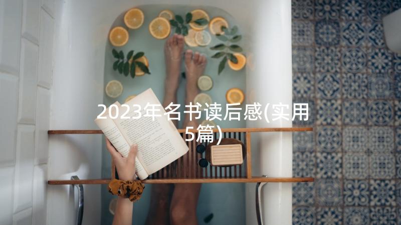 2023年名书读后感(实用5篇)