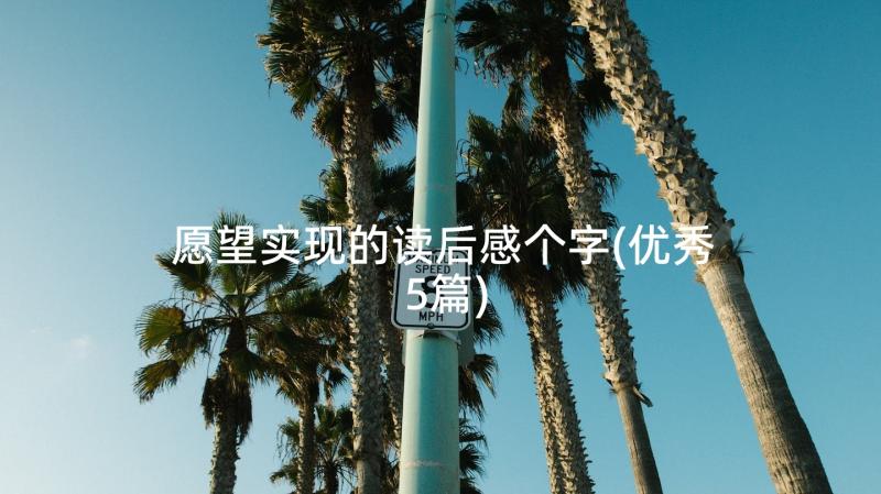 愿望实现的读后感个字(优秀5篇)