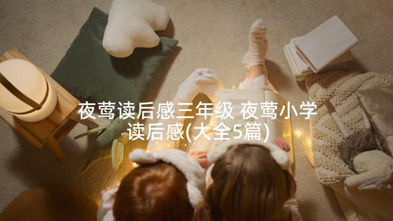 夜莺读后感三年级 夜莺小学读后感(大全5篇)