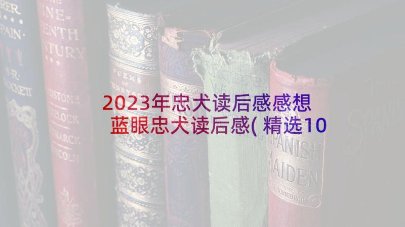 2023年忠犬读后感感想 蓝眼忠犬读后感(精选10篇)