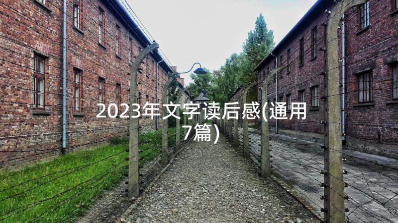 2023年文字读后感(通用7篇)