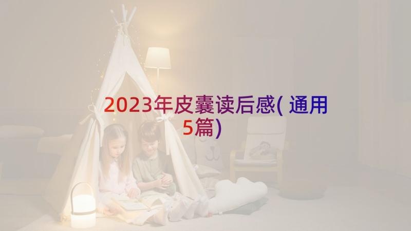 2023年皮囊读后感(通用5篇)