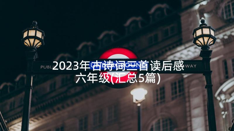 2023年古诗词三首读后感六年级(汇总5篇)