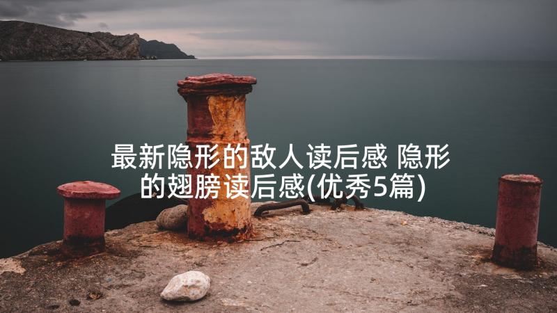 最新隐形的敌人读后感 隐形的翅膀读后感(优秀5篇)