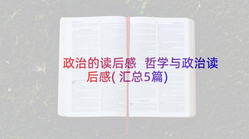 政治的读后感 哲学与政治读后感(汇总5篇)