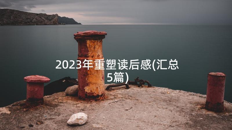 2023年重塑读后感(汇总5篇)