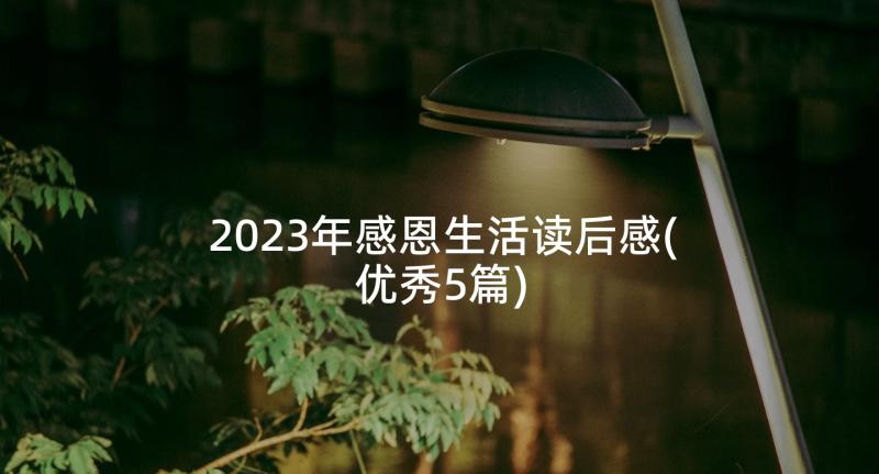 2023年感恩生活读后感(优秀5篇)