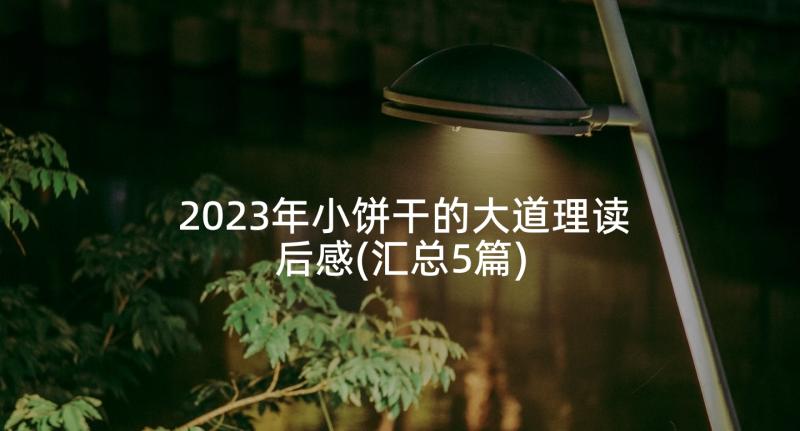 2023年小饼干的大道理读后感(汇总5篇)