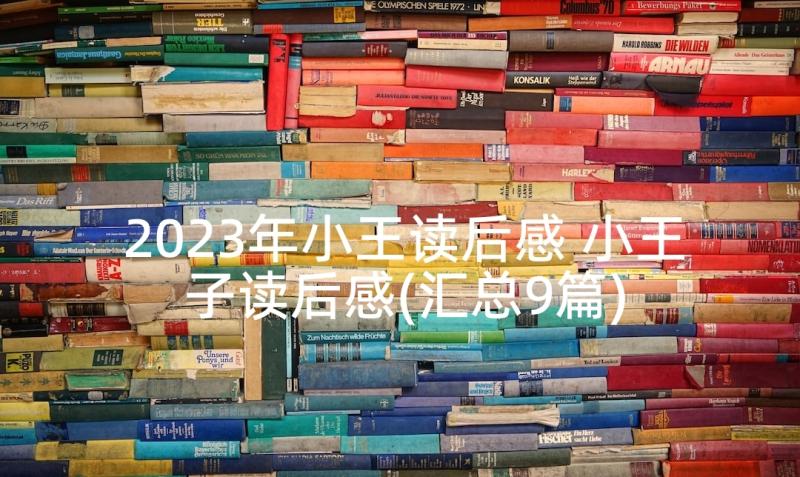 2023年小王读后感 小王子读后感(汇总9篇)