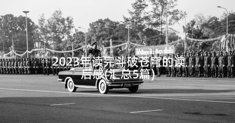 2023年读完斗破苍穹的读后感(汇总5篇)