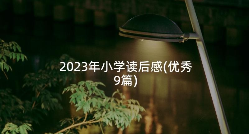 2023年小学读后感(优秀9篇)