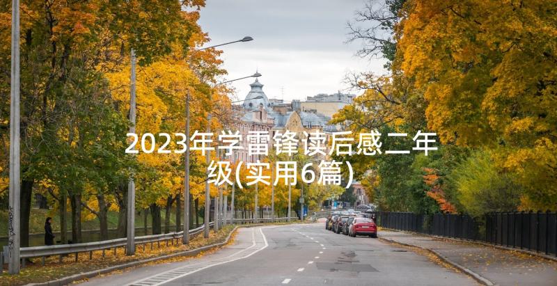 2023年学雷锋读后感二年级(实用6篇)