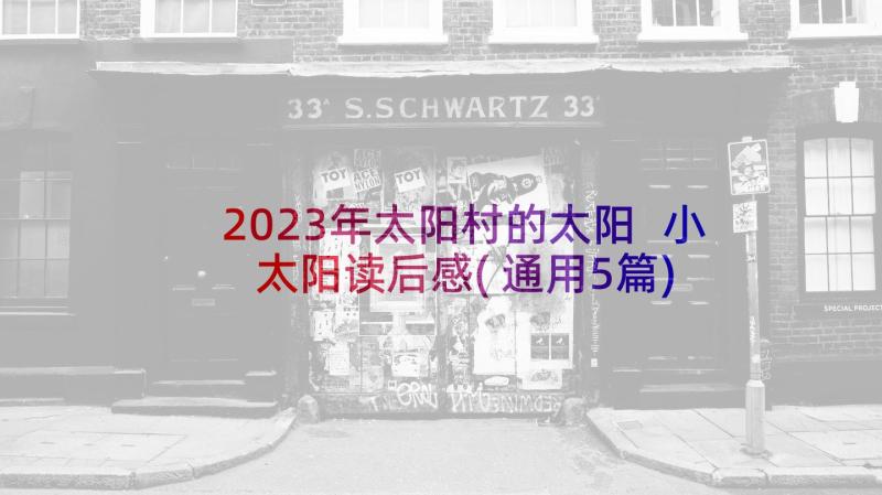 2023年太阳村的太阳 小太阳读后感(通用5篇)