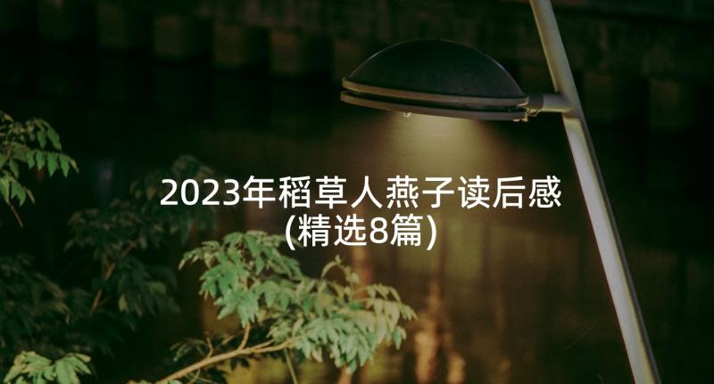 2023年稻草人燕子读后感(精选8篇)