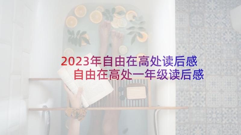 2023年自由在高处读后感 自由在高处一年级读后感(汇总5篇)