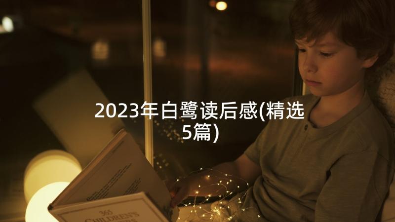 2023年白鹭读后感(精选5篇)