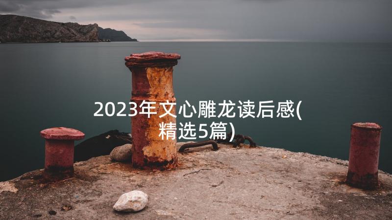 2023年文心雕龙读后感(精选5篇)