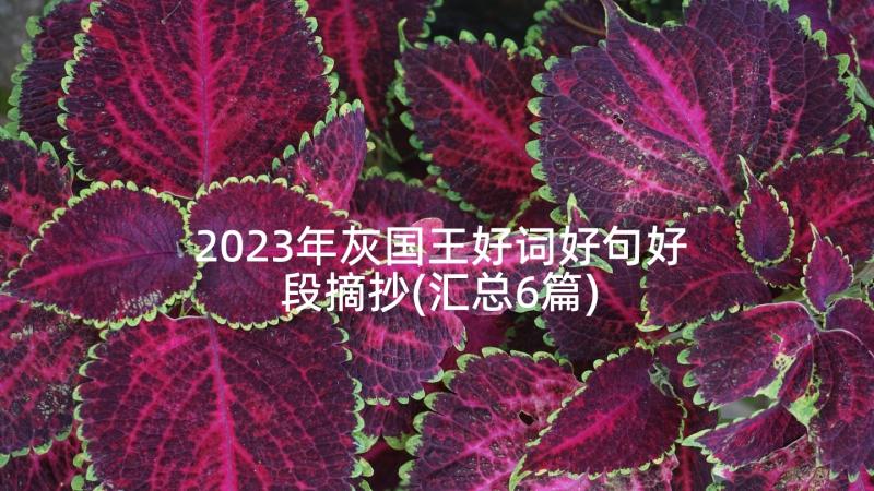 2023年灰国王好词好句好段摘抄(汇总6篇)