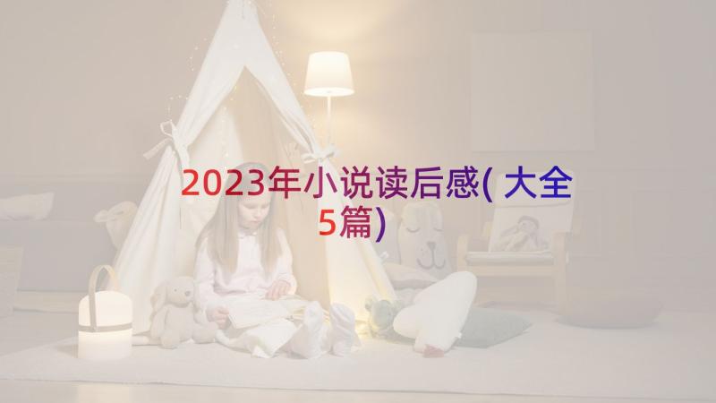 2023年小说读后感(大全5篇)