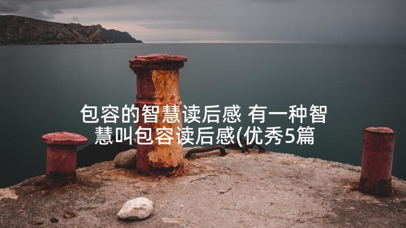 包容的智慧读后感 有一种智慧叫包容读后感(优秀5篇)