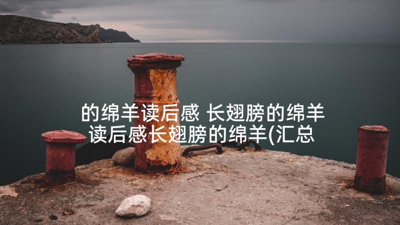 的绵羊读后感 长翅膀的绵羊读后感长翅膀的绵羊(汇总5篇)