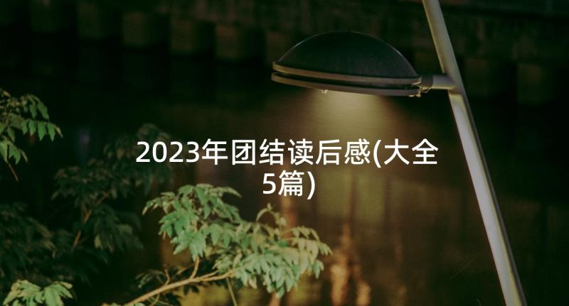 2023年团结读后感(大全5篇)