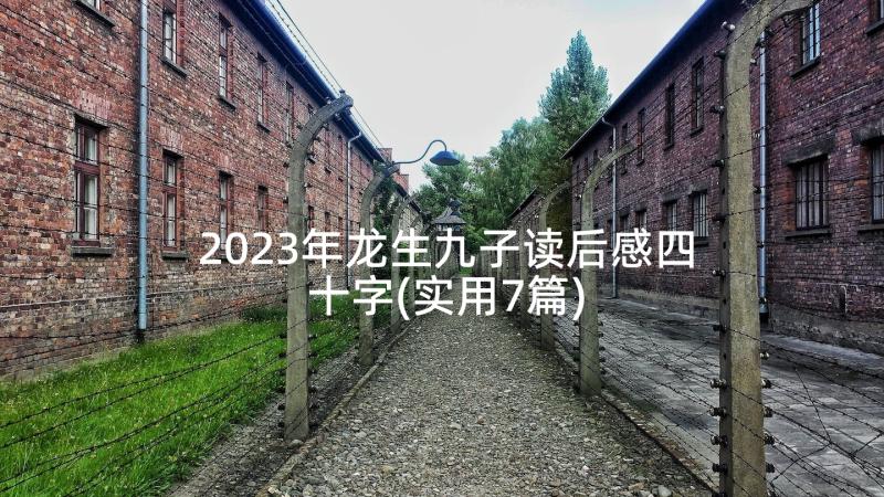2023年龙生九子读后感四十字(实用7篇)
